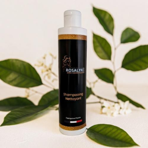 produit cosmétique Afro Toulouse - Shampoing pour cheveux afro Toulouse
